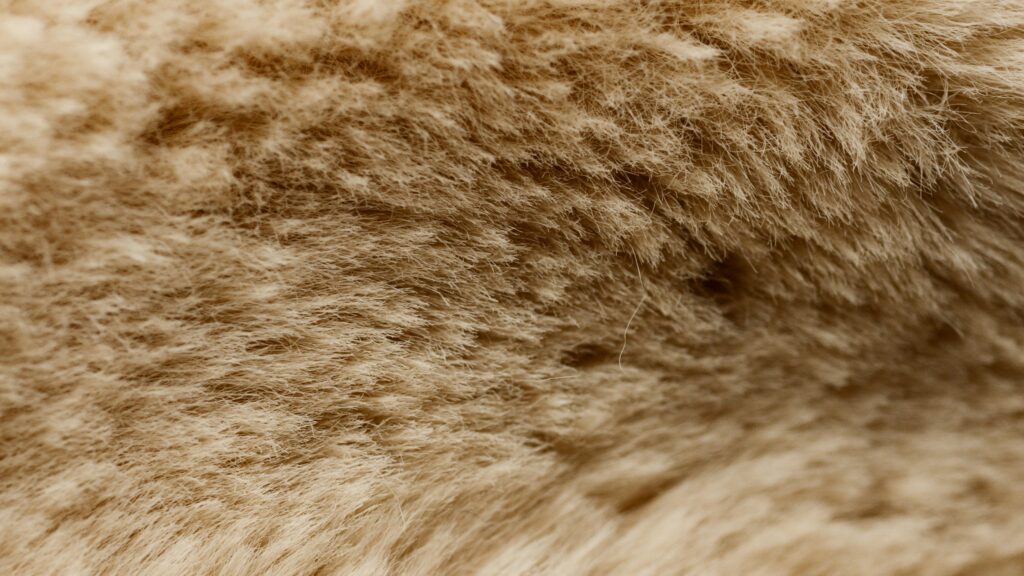 Detailed close-up of beige furry texture showcasing softness and warmth, ideal for backgrounds.
