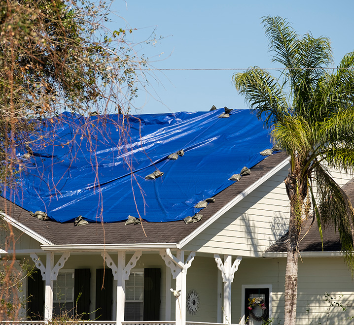 Metal Roofing